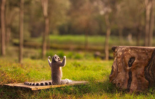 How to be a professional photographer 13
